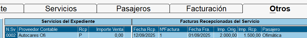 Pestaña Otros